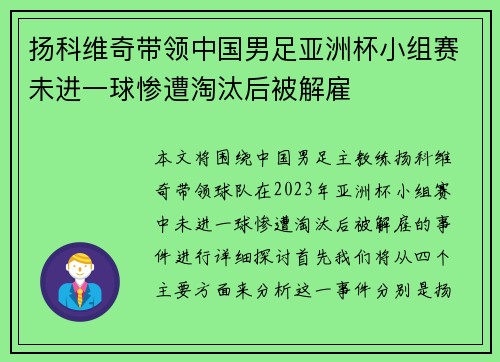 扬科维奇带领中国男足亚洲杯小组赛未进一球惨遭淘汰后被解雇