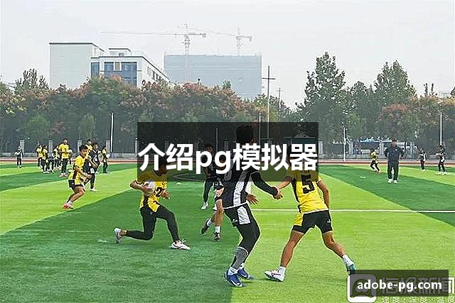 介绍pg模拟器